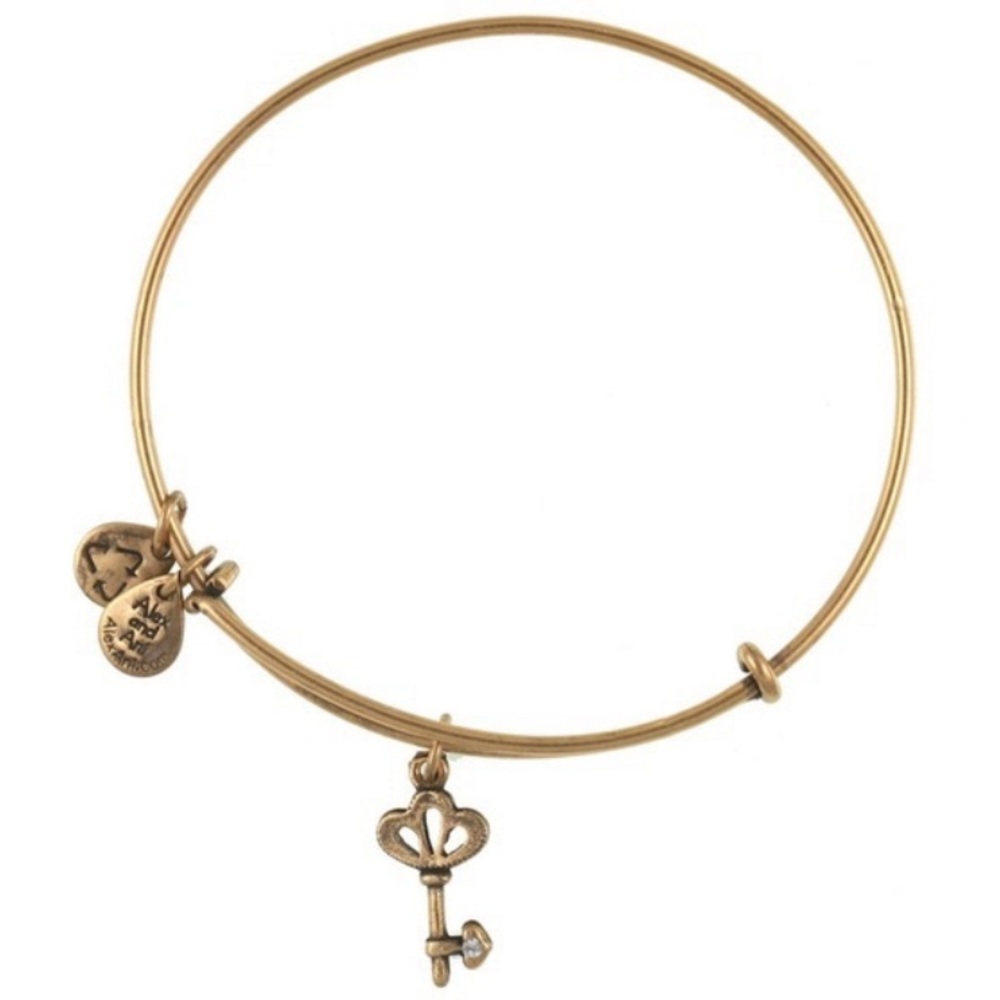 Alex and Ani Skeleton Key Charm Bangle